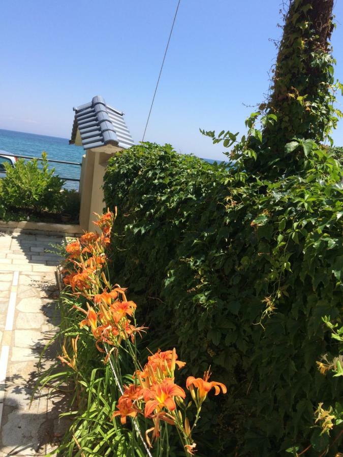 Villa Aegean Blue Platamonas Exterior foto